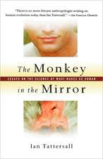 The Monkey in the Mirror