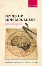 Sizing up Consciousness