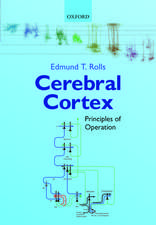 Cerebral Cortex: Principles of Operation