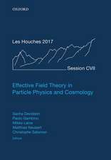 Effective Field Theory in Particle Physics and Cosmology: Lecture Notes of the Les Houches Summer School: Volume 108, July 2017