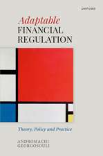 Adaptable Financial Regulation: Theory, Policy, and Practice