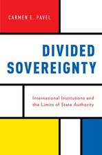 Divided Sovereignty: International Institutions and the Limits of State Authority