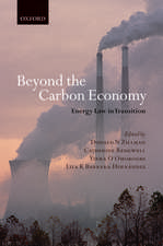 Beyond the Carbon Economy