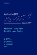 Quantum Theory from Small to Large Scales: Lecture Notes of the Les Houches Summer School: Volume 95, August 2010