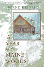 A Year In The Maine Woods