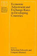 Economic Adjustment and Exchange Rates in Developing Countries