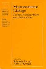 Macroeconomic Linkage: Savings, Exchange Rates, and Capital Flows