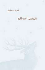 Elk in Winter