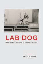 Lab Dog