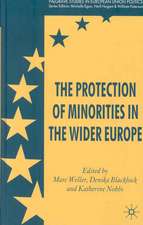 The Protection of Minorities in the Wider Europe