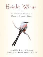 Bright Wings – An Illustrated Anthology of Poems About Birds