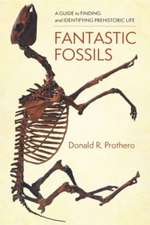 Fantastic Fossils – A Guide to Finding and Identifying Prehistoric Life