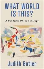 What World Is This? – A Pandemic Phenomenology