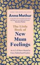 The Little Book of New Mum Feelings