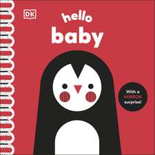 Hello Baby: With a Mirror Surprise!