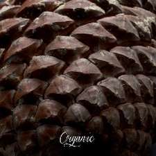 Organic
