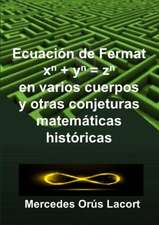 Ecuación de Fermat en varios cuerpos y otras conjeturas matemáticas históricas