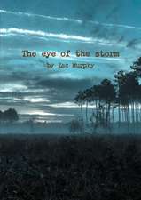 The eye of the storm