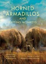 Horned Armadillos and Rafting Monkeys – The Fascinating Fossil Mammals of South America