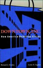 Downtown Inc – How America Rebuilds Cities (Paper)