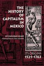 The History of Capitalism in Mexico: Its Origins, 1521–1763