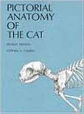 Pictorial Anatomy of the Cat