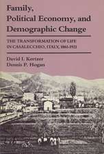 Family, Political Economy, and Demographic Change: The Transformation of Life in Casalecchio, Italy, 1861–1921