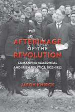 Afterimage of the Revolution: Cumann na nGaedheal and Irish Politics, 1922–1932