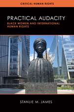 Practical Audacity: Black Women and International Human Rights