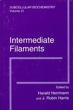 Intermediate Filaments