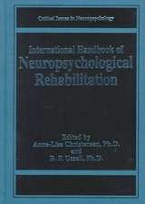 International Handbook of Neuropsychological Rehabilitation