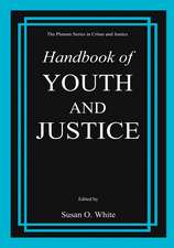 Handbook of Youth and Justice