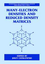 Many-Electron Densities and Reduced Density Matrices