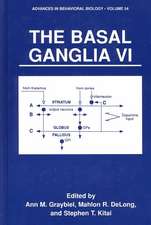 The Basal Ganglia VI