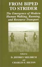 From Biped to Strider: The Emergence of Modern Human Walking, Running, and Resource Transport