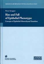 Rise and Fall of Epithelial Phenotype