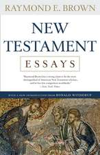 New Testament Essays