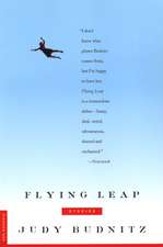 Flying Leap: Stories