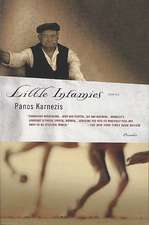 Little Infamies: Stories