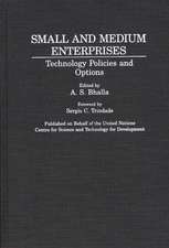 Small and Medium Enterprises: Technology Policies and Options