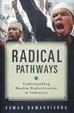 Radical Pathways: Understanding Muslim Radicalization in Indonesia