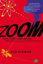 Zoom: From Atoms and Galaxies to Blizzards and Bees: How Everything Moves