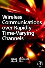 Wireless Communications Over Rapidly Time-Varying Channels