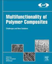 Multifunctionality of Polymer Composites: Challenges and New Solutions