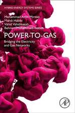 Power-to-Gas: Bridging the Electricity and Gas Networks