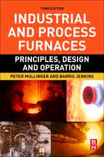 Industrial and Process Furnaces