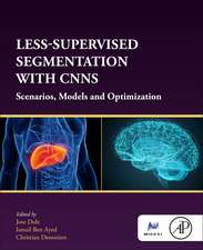 Less-Supervised Segmentation with CNNs: Scenarios, Models and Optimization