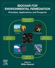 Biochar for Environmental Remediation: Principles, Applications, and Prospects