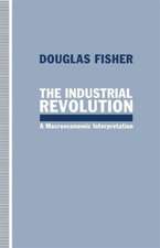 The Industrial Revolution: A Macroeconomic Interpretation