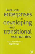 Small Scale Enterprises in Developing and Transitional Economies